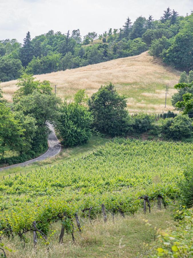 Вілла Fattorie Di Montechiaro Сассо-Марконі Екстер'єр фото